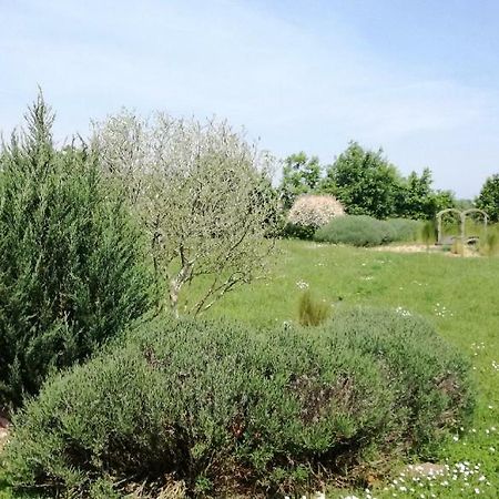 Le Grand Paradis Morannes sur Sarthe-Daumeray Extérieur photo